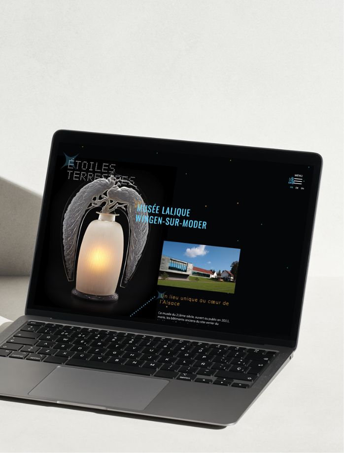 Réalisation du site vitrine des Étoiles Terrestres
